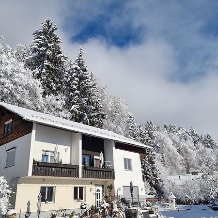 Ferienhaus Burgblick Треффен Экстерьер фото