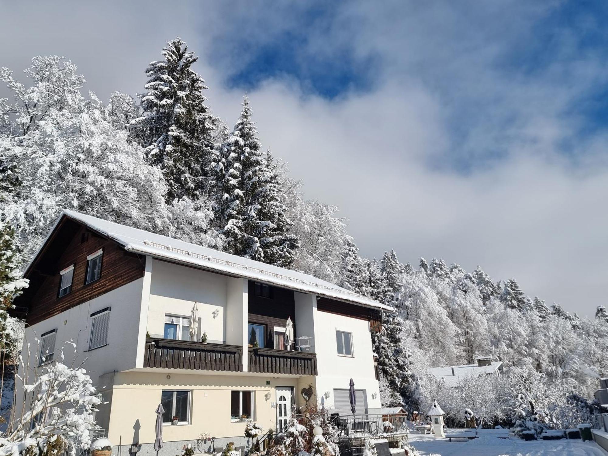 Ferienhaus Burgblick Треффен Экстерьер фото